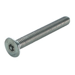 BOLT CS 6 LOBE T20 M4X25MM ST. 020.04.068
